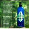 Jack Black Body & Hair Cleanser – Mens Body Wash, Mens Shampoo, Skin Care, Hair Care, Body Wash Men, Sulfate–Free(JackZen – Bamboo & Violet)