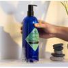 Jack Black Body & Hair Cleanser – Mens Body Wash, Mens Shampoo, Skin Care, Hair Care, Body Wash Men, Sulfate–Free(JackZen – Bamboo & Violet)
